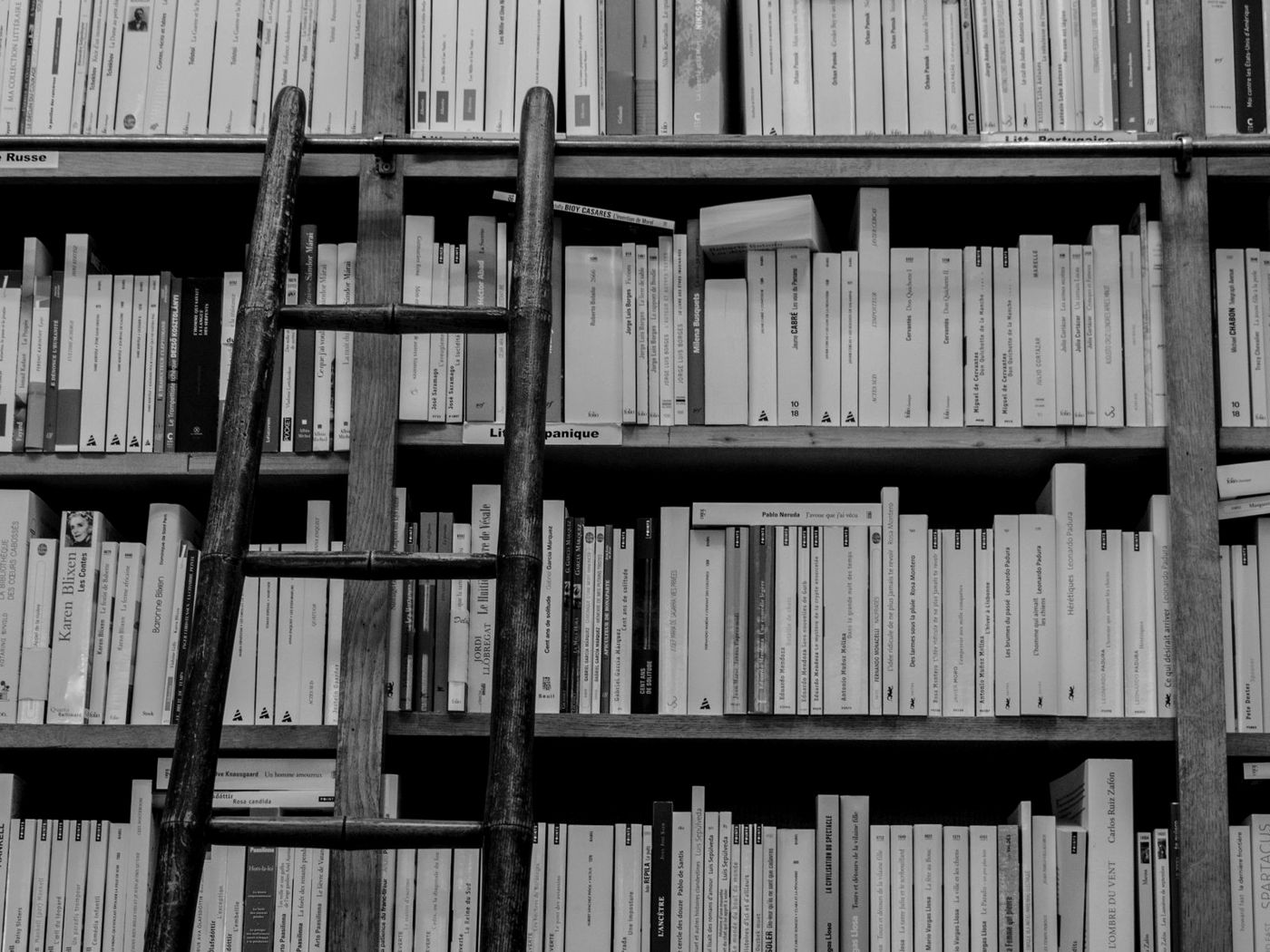 Escada de madeira apoiada numa estante cheia de livros, em preto e branco